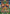 Unlocking the Kalachakra Thangka: Wheel of Time in Tibetan Sacred Art
